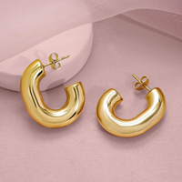Glam Loops Earrings