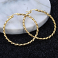 Golden Spiral Hoops