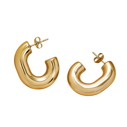 Glam Loops Earrings